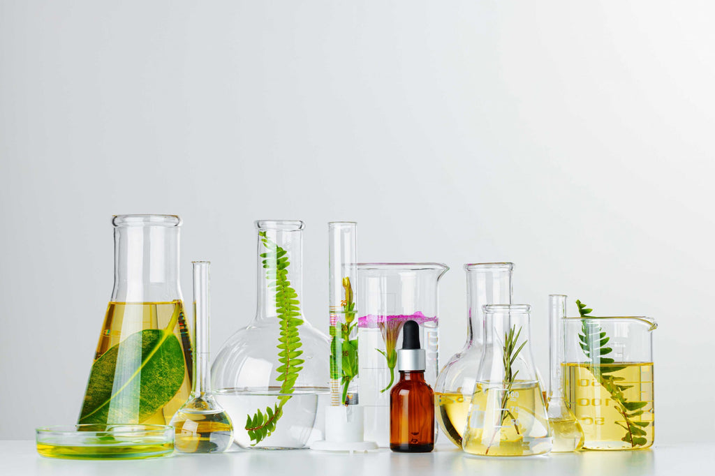 Plant Stem Cells: The Future Of Anti-Aging In Skincare?