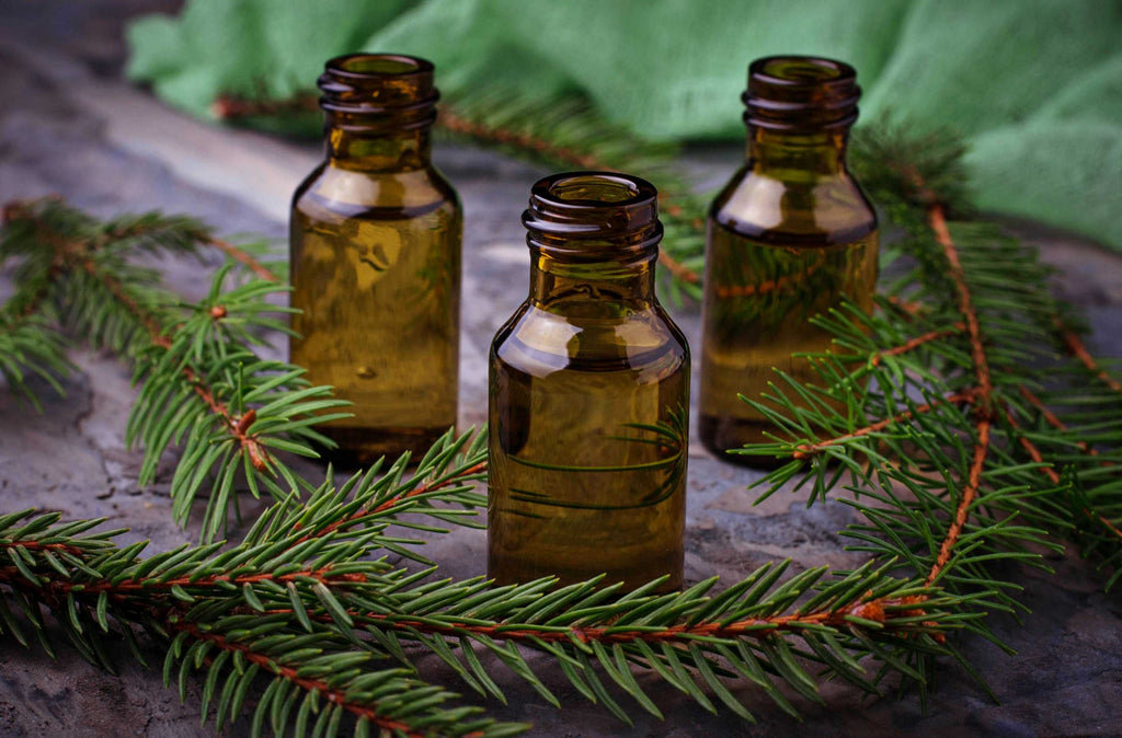 Is Tea Tree Oil Good: Know Its Various Benefits